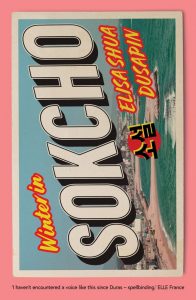Winter in Sochko, Elisa Shua Dusapin, Aneesa Abbas Higgins (trans) (Daunt Books, February 2020)