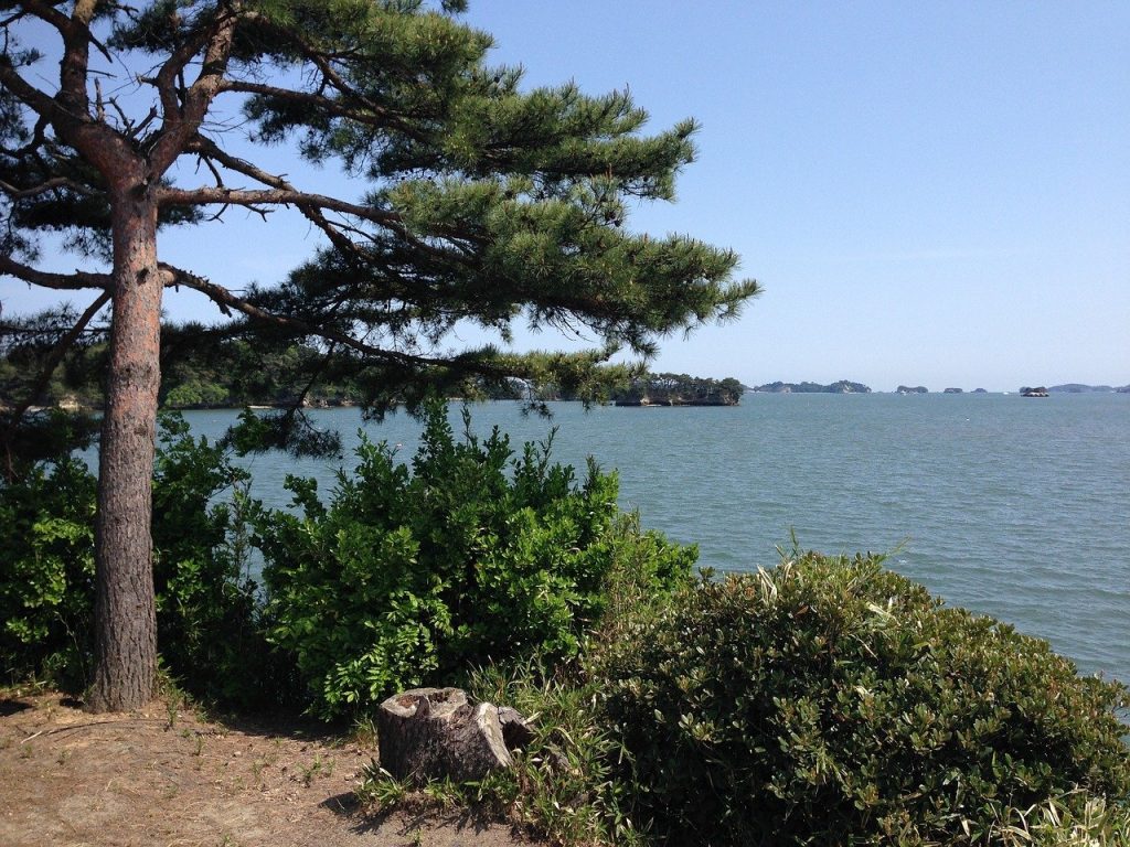 matsushima