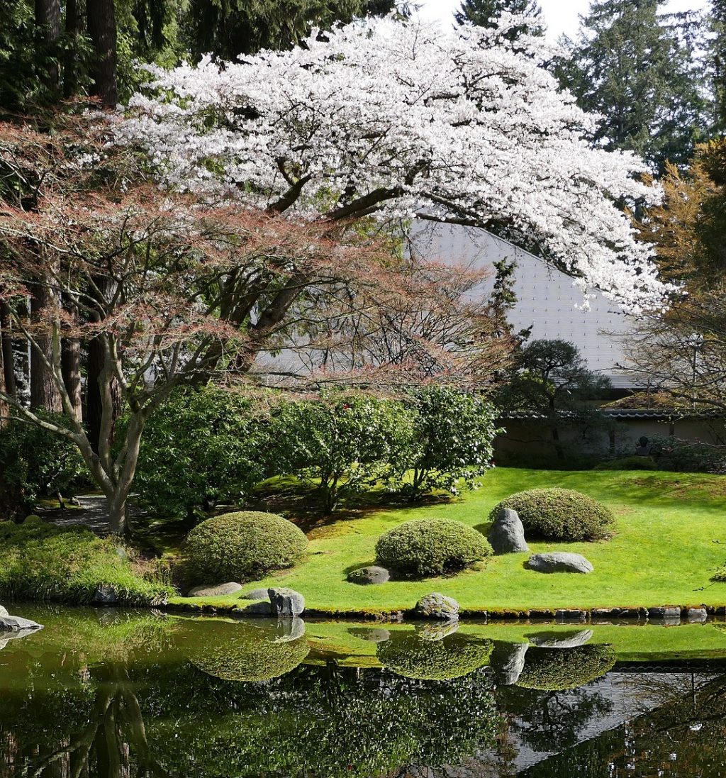 garden2a