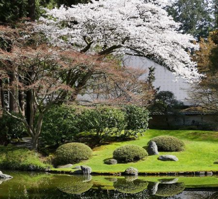 garden2a