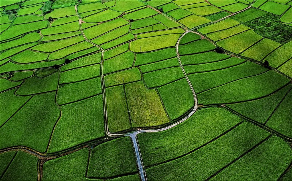 1280px-terrains_of_the_terai1