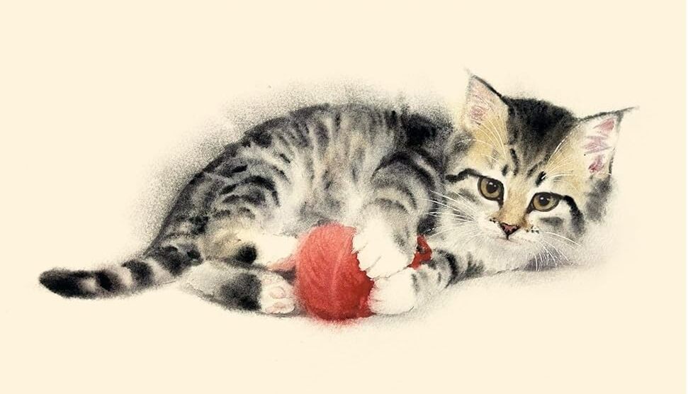 Mii cat